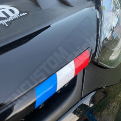 STICKERS BANDERA REJILLA CLIO 4RS