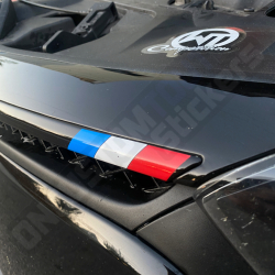 STICKERS BANDERA REJILLA CLIO 4RS