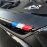 STICKERS DRAPEAU CALANDRE CLIO 4RS