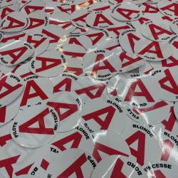 STICKERS DISQUE A JEUNE CONDUCTEUR "AIGRIE A BORD"