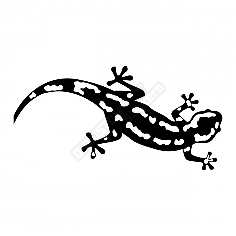 ADESIVI SALAMANDRA