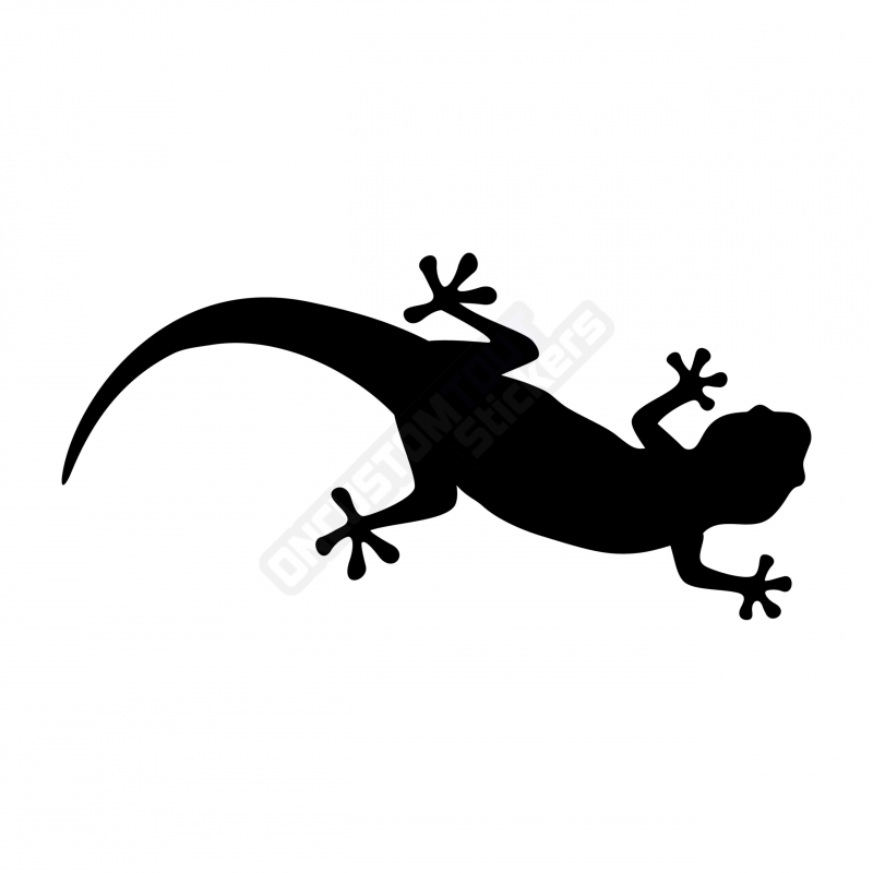 ADESIVI SALAMANDRA